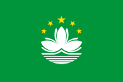 green, white lotus flower, 5 yellow stars